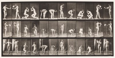 Tallerken 501. Diverse, bøyd, knelende o.l. av Eadweard Muybridge