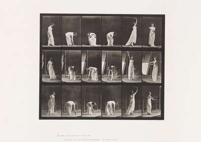 Plate 503. Diverse - Bøyning m.m av Eadweard Muybridge