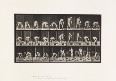 Plate 506. Muring av Eadweard Muybridge