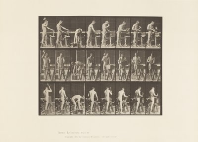Plate 507. Snekkerarbeid av Eadweard Muybridge