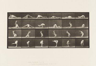Plate 510. Forvridninger på bakken, 1872-1885 av Eadweard Muybridge