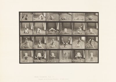 Plate 511. Vridninger på bakken av Eadweard Muybridge