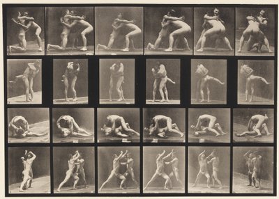 Plate 520. A, 98 og 100 Bryting; B-, 98- og 100-bryting av Eadweard Muybridge
