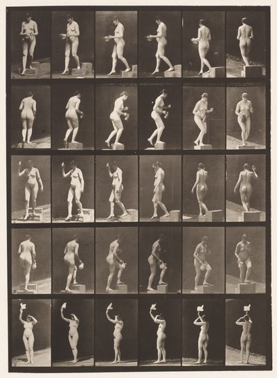 Plate 525. A, synkende trinn; B, Stigende trinn;, 1872-1885 av Eadweard Muybridge