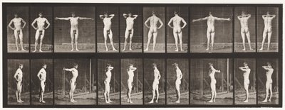 Tallerken 529. Diverse stillinger av Eadweard Muybridge