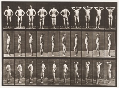 Tallerken 530. Ulike stillinger av Eadweard Muybridge