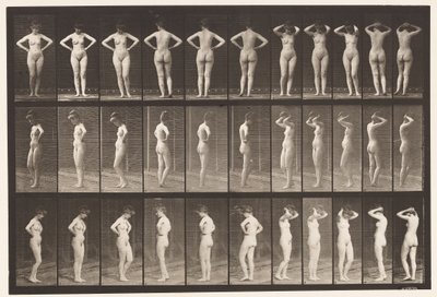 Tallerken 531. Diverse stillinger av Eadweard Muybridge