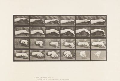 Plate 532. Bevegelse av hånden; Tegne en sirkel, 1885 av Eadweard Muybridge