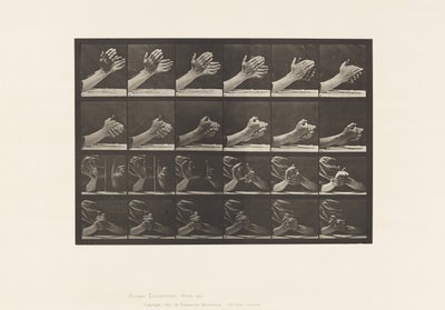 Plate 533. Bevegelse av hånden; Klapper hender, 1885 av Eadweard Muybridge