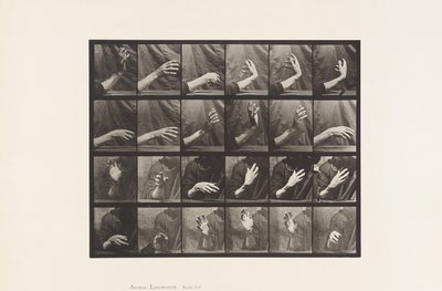Plate 535. Bevegelse av hånden; Beating Time, 1885 av Eadweard Muybridge