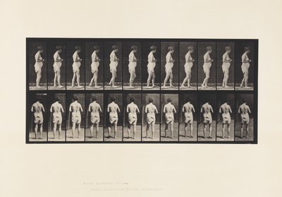 Plate 542. Multippel Cerebro-Spinal Sklerose - Gående av Eadweard Muybridge