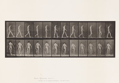 Plate 546.Locomotor Ataxia; Gående, 1885 av Eadweard Muybridge
