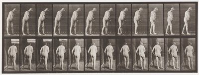 Plate 547.Hemiplegi; Walking with Crutch, 1885 av Eadweard Muybridge