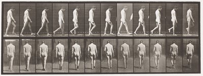Plate 549.Epilepsi; Gående, 1885 av Eadweard Muybridge