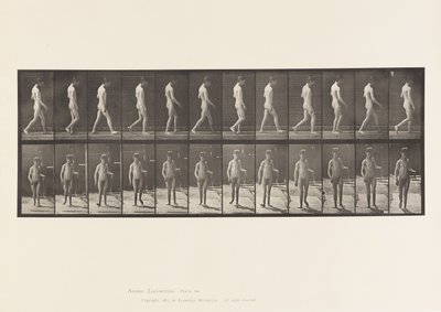 Plate 551.Epilepsi; Gående, 1885 av Eadweard Muybridge