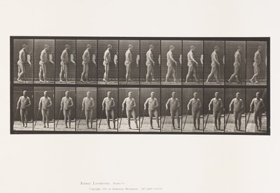 Plate 552.Hemiplegi; Walking with Cane, 1885 av Eadweard Muybridge