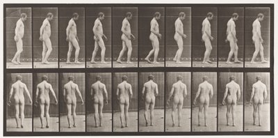 Plate 553.Etter Traumatism of Head; Gående, 1885 av Eadweard Muybridge