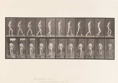Plate 554.Locomotor Ataxia; Gående, 1885 av Eadweard Muybridge