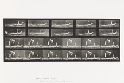 Plate 556.Local Chorea; A, B, mens du ligger av Eadweard Muybridge