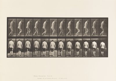 Plate 558. Paraplegi; Delvis; Gående, 1885 av Eadweard Muybridge