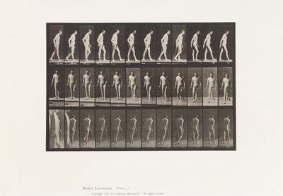 Plate 559. Disseminert sklerose; Går med Cane av Eadweard Muybridge