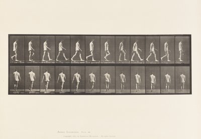 Plate 560.Locomotor Ataxia; Gående, 1885 av Eadweard Muybridge