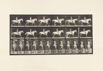 Plate 582. Gange;Sadel; Rytter, 43, naken; Lysgrå hest Smith av Eadweard Muybridge