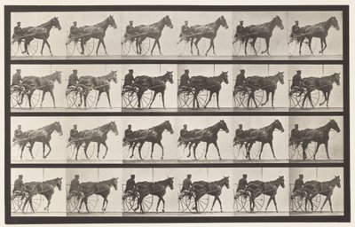 Plate 587.Gå; Sulky; Sorrel Mare Nellie Rose, 1885 av Eadweard Muybridge