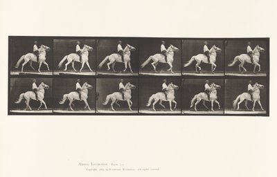 Plate 589.Ambling av Eadweard Muybridge