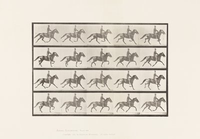 Plate 591.Vyngende av Eadweard Muybridge