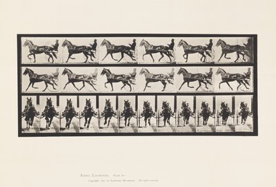 Plate 595. Rocking (Pacing): Sulky; Brun hest Pronto av Eadweard Muybridge