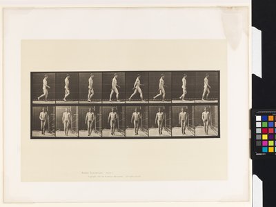 Plate 5.Gå av Eadweard Muybridge