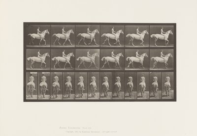 Plate 602.Trav;Bareback; Rytter, 43, naken; lysgrå hest Smith, 1885 av Eadweard Muybridge