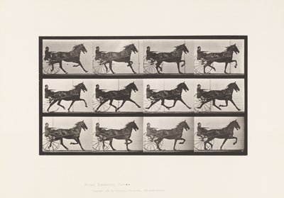 Plate 606. Trav; Sulky; Bay Horse, Ruben av Eadweard Muybridge