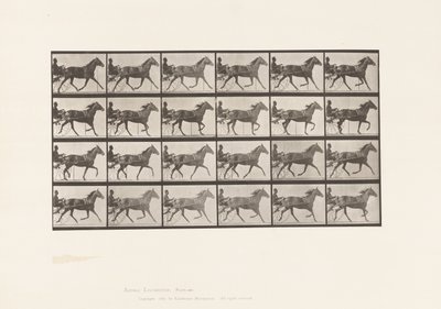 Plate 607. Trav; Sulky; Bay Mare, Lizzie M. av Eadweard Muybridge