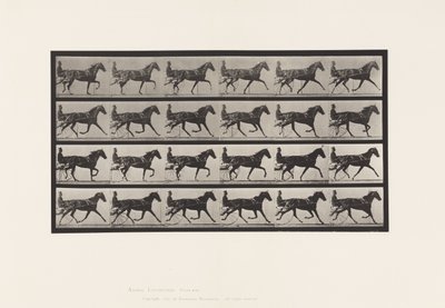 Plate 608. Trav; Sulky; Sorrel Mare, Flode Holden av Eadweard Muybridge