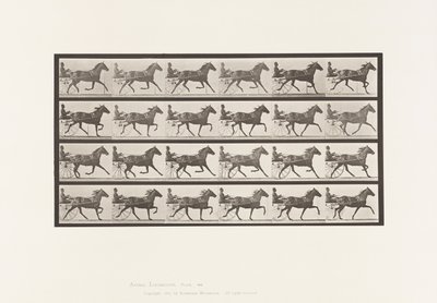 Plate 609. Trav; Sulky; Bay Mare, Lizzie M. av Eadweard Muybridge