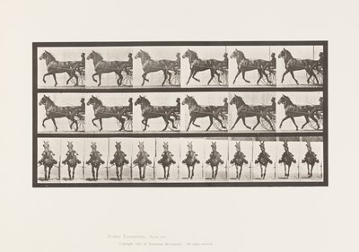 Plate 612. Trav; Sulky; Bay Horse, Dereumd av Eadweard Muybridge
