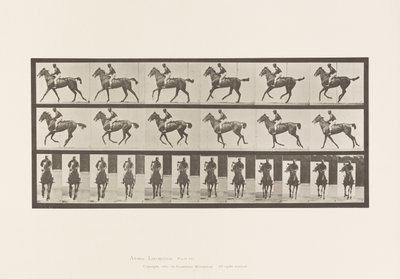Plate 621. Galopp; Sal; Fullblods Bay Mare Annie 6 av Eadweard Muybridge