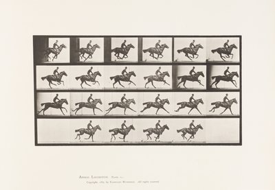 Tallerken 625. Galopp; Fullblods Bay-hestebukett av Eadweard Muybridge