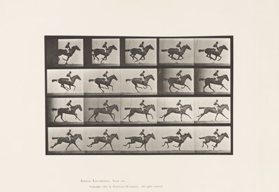 Plate 627. Galopp; Fullblods Bay Mare Annie G. av Eadweard Muybridge