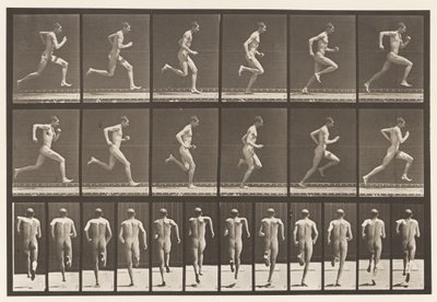 Plate 62. Kjører i full fart., 1872-1885 av Eadweard Muybridge