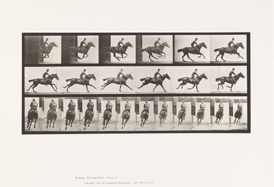 Plate 633. Galopp; Sal; Fullblods Bay-hestebukett av Eadweard Muybridge