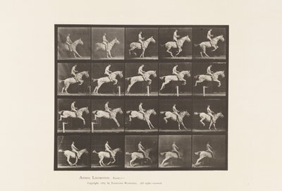 Plate 642. Hoppe et hinder; Sal; Rytter, 105, naken; Grå hoppe, 1885 av Eadweard Muybridge