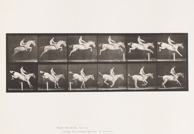 Plate 643. Hoppe et hinder; Bareback; Rydding og landing; av Eadweard Muybridge