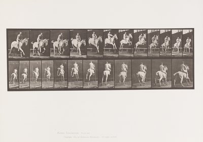 Plate 647. Hoppe et hinder; Bareback; Rytter av Eadweard Muybridge