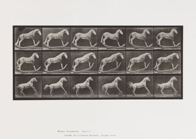 Plate 649.A, Hornet, Rocking; B, Eagle, Rolling Barrel, etc. av Eadweard Muybridge
