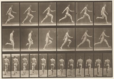 Plate 64. Kjører i full fart av Eadweard Muybridge