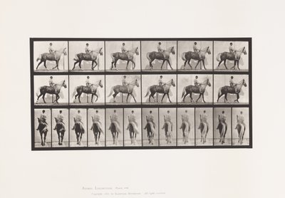 Plate 653. Gående; Sal; Lam, høyre foran fot;Heste-bukkeskinn av Eadweard Muybridge