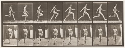 Plate 65. Kjører i full fart., 1872-1885 av Eadweard Muybridge